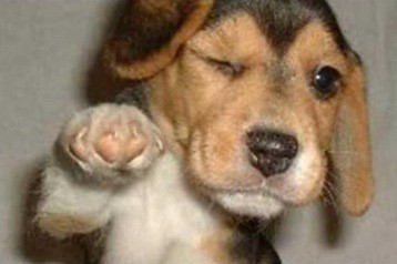 Generated at 2013-04-18 18:45:57