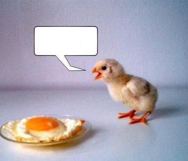 Edit funny-bird-a01.jpg