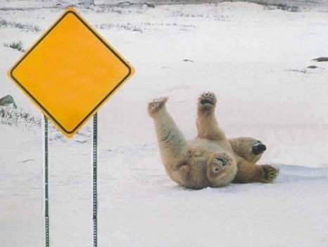 Edit other_animals_3.jpg