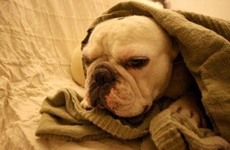 Generated at 2011-05-18 09:26:37